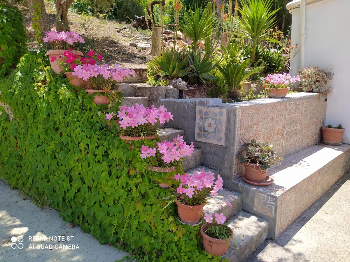 B&B Troisi Racalmuto Bagian luar foto