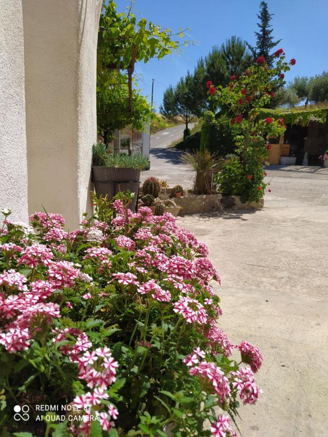 B&B Troisi Racalmuto Bagian luar foto